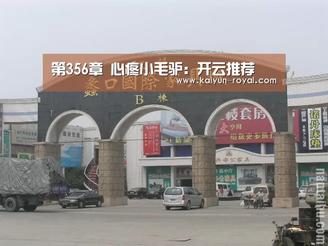 第356章 心疼小毛驴:开云推荐(图3) 开云官网