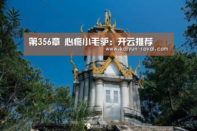 第356章 心疼小毛驴：开云推荐